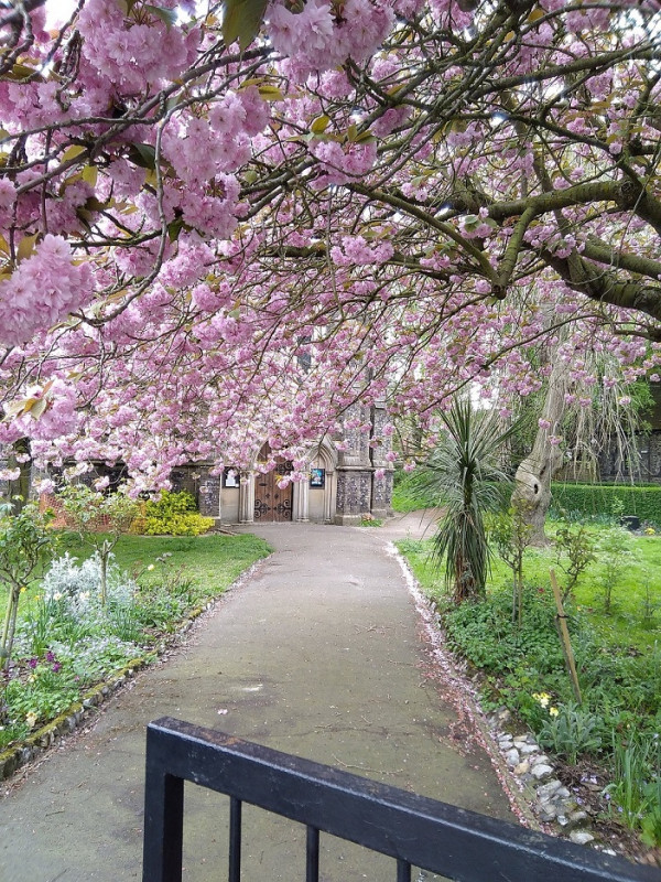 Photos - Christ Church New Catton